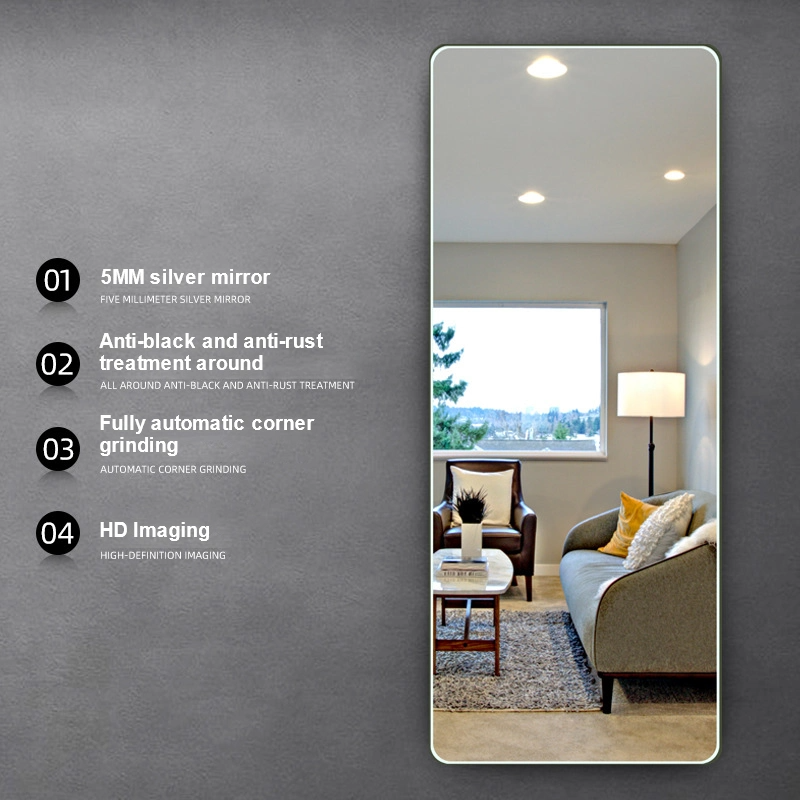 Wall Mounted Home Full Sized Length Bedroom Floor Long Body Dressing Mirror